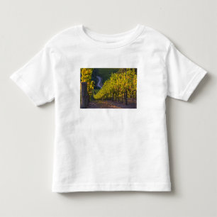 Camiseta De Bebé Australia Meridional, Adelaide Hills, Summertown.