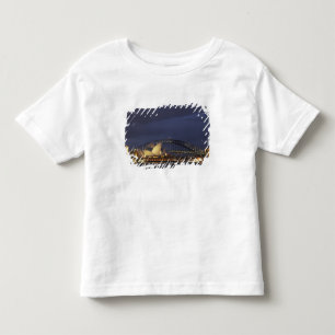 Camiseta De Bebé Australia, Nueva Gales del Sur, Sídney, Sydney Ope