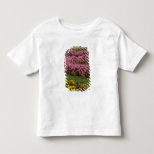 Camiseta De Bebé Austria, Viena. Barroco de María Teresa