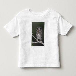 Camiseta De Bebé Autillo Americano, Megascops asio, Otus 2
