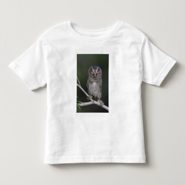 Camiseta De Bebé Autillo Americano, Megascops asio, Otus 2 (Anverso)