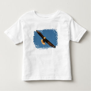 Camiseta De Bebé Ave de Prey, águila calva en vuelo, Kachemak