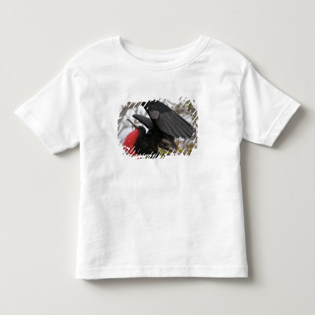 Camiseta De Bebé Ave fragata magnífica (Anverso)