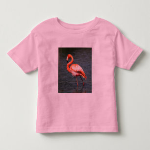 Camiseta De Bebé Aves tropicales de playa destruyen flamencos
