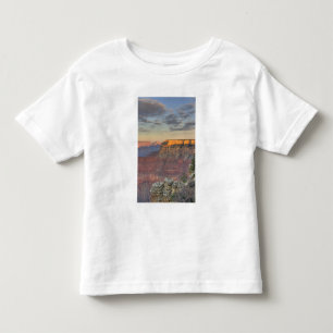 Camiseta De Bebé AZ, Arizona, Parque Nacional del Gran Cánion, Sur