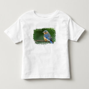 Camiseta De Bebé Azulillo Oriental Hembra, Sialia sialis
