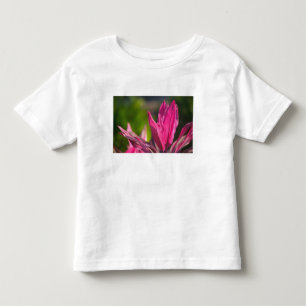 Camiseta De Bebé BAHAMAS, Isla de Nueva Providencia, Nassau: Paraís