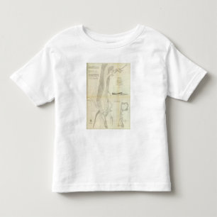 Camiseta De Bebé Bahía de Humboldt, Calif