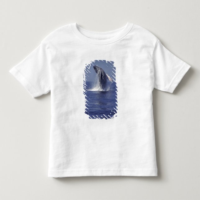 Camiseta De Bebé Ballena jorobada saltando (Megaptera (Anverso)