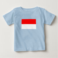 Bandera de Indonesia