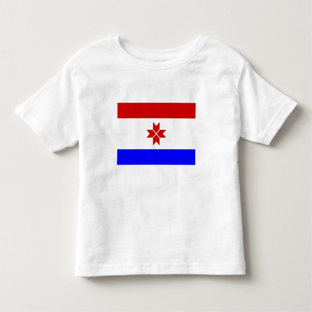 Camiseta De Bebé Bandera de Mordovia (Anverso)