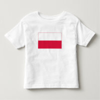 Bandera de Polonia