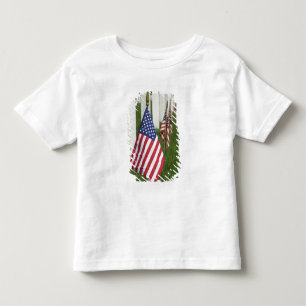 Camiseta De Bebé Banderas estadounidenses en tumbas de veteranos es
