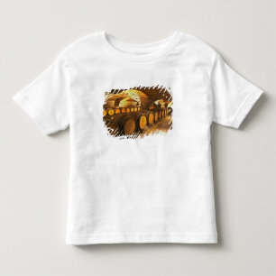 Camiseta De Bebé barriles de roble en el sótano en Domaine Comte