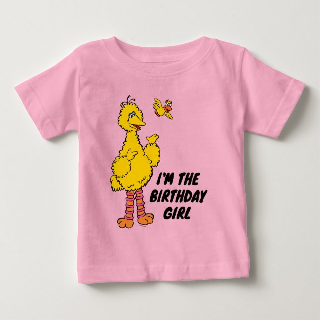 Camiseta De Bebé Barrio Sésamo | Cumpleaños de aves grandes y peque (Anverso)
