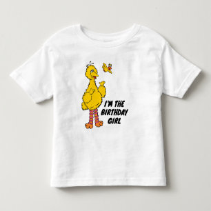 Camiseta De Bebé Barrio Sésamo   Pájaros grandes y pequeños