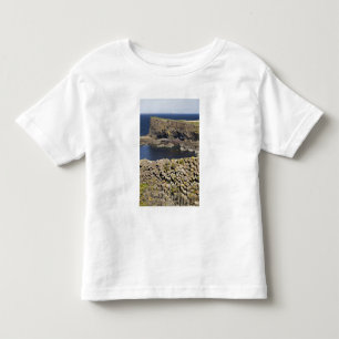 Camiseta De Bebé basalto poligonal, Staffa, frente a la isla de Mul