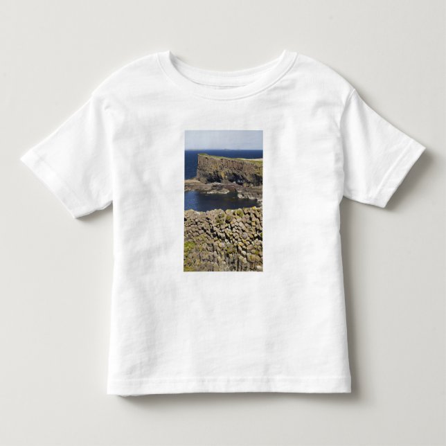 Camiseta De Bebé basalto poligonal, Staffa, frente a la isla de Mul (Anverso)