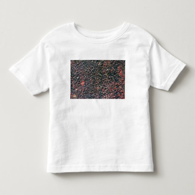 Camiseta De Bebé batido de arándano (Anverso)