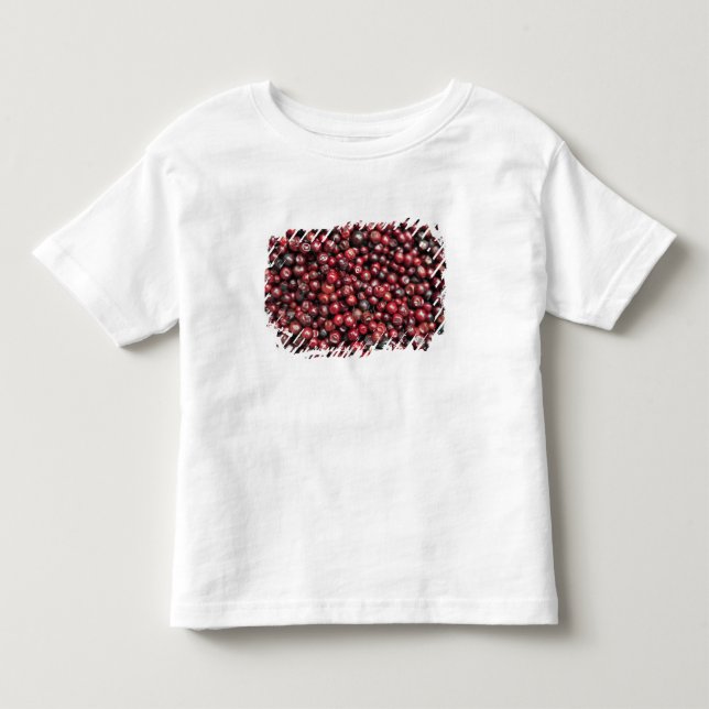 Camiseta De Bebé Bayas rojas del Himalaya (Anverso)