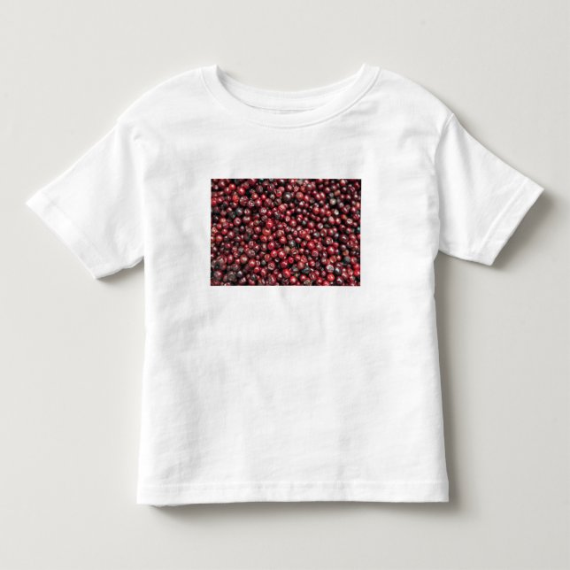 Camiseta De Bebé Bayas rojas del Himalaya (Anverso)