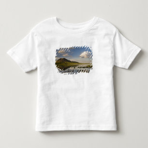 Camiseta De Bebé Bear Butte se refleja en Bear Butte Lake cerca