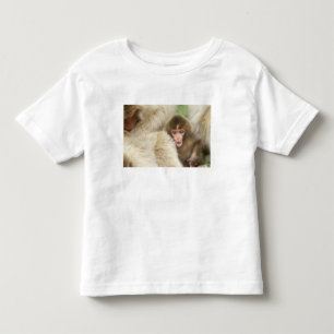 Camiseta De Bebé Bebé mono de nieve, Jigokudani, Nagano, Japón