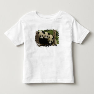 Camiseta De Bebé Bebés de panda gigante (Ailuropoda melanoleuca)