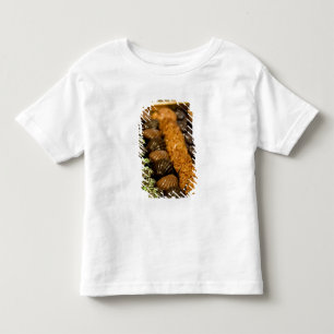 Camiseta De Bebé Bélgica, Bruselas. Bélgica mundialmente famosa