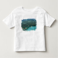 Belice, barrera de arrecifes, arrecife de faro, az