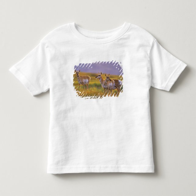 Camiseta De Bebé Berrendo antílope en Montana (Anverso)
