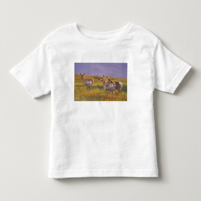 Camiseta De Bebé Berrendo en Montana (Anverso)