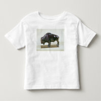 Bison, 1907