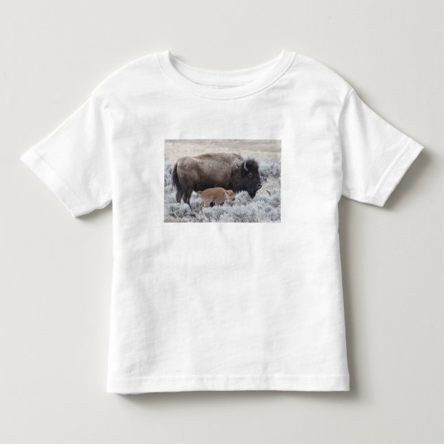 Camiseta De Bebé Bisonte vaca y ternero, Yellowstone (Anverso)