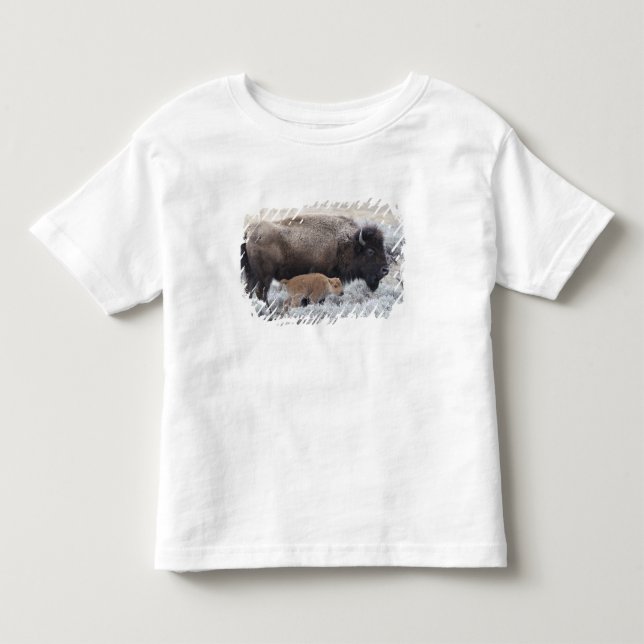 Camiseta De Bebé Bisonte vaca y ternero, Yellowstone (Anverso)