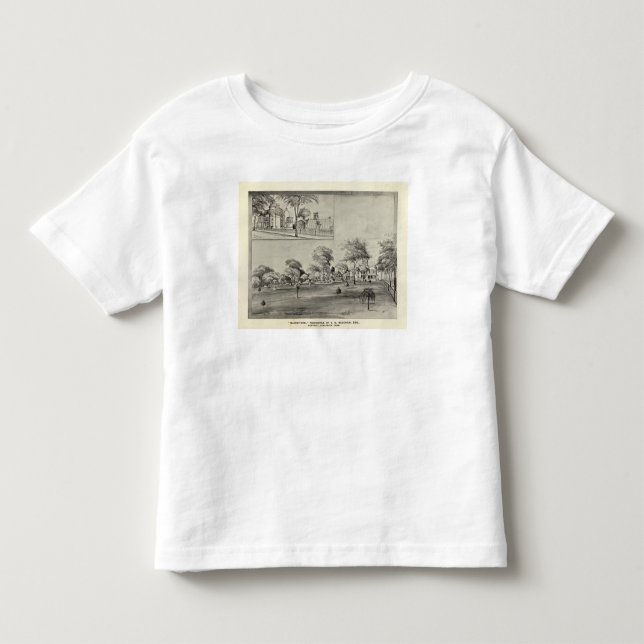 Camiseta De Bebé Blonstone, Westville (Anverso)