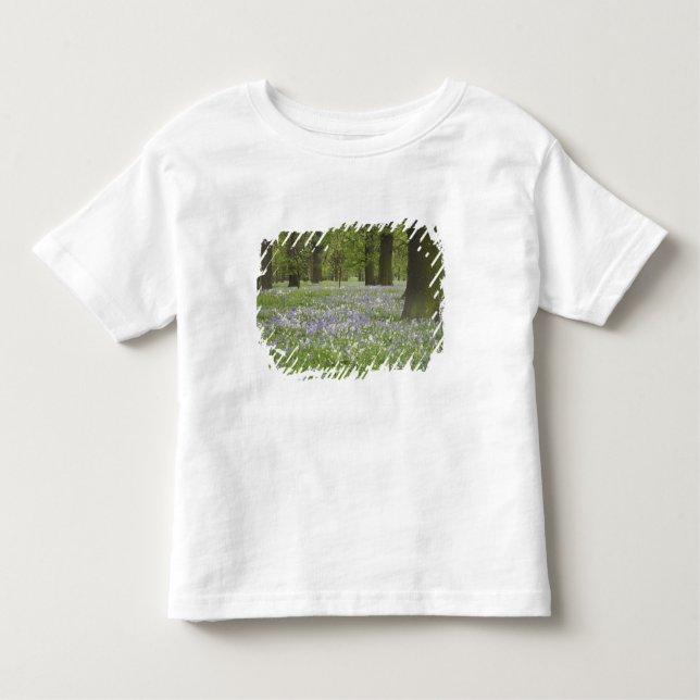 Camiseta De Bebé Bluebells y robles en primavera, Pequeña Hagley (Anverso)