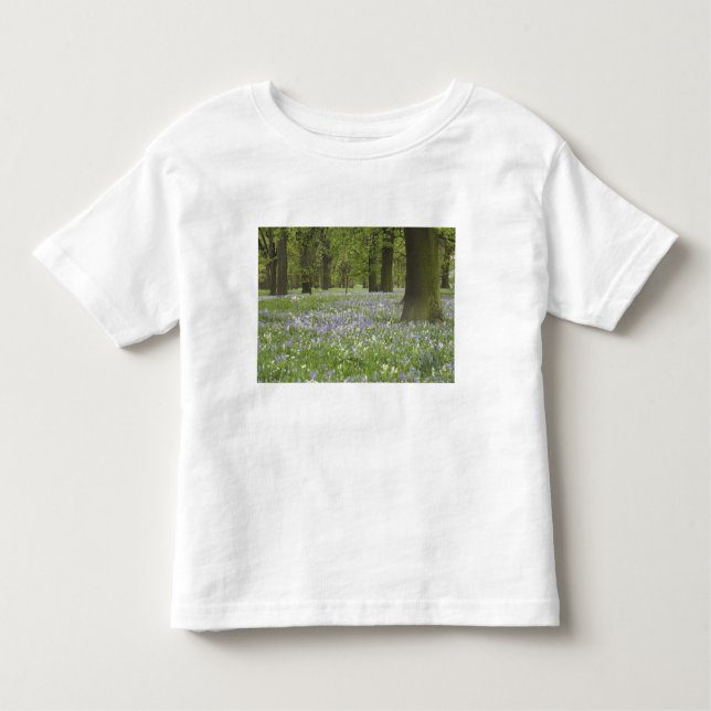 Camiseta De Bebé Bluebells y robles en primavera, Pequeña Hagley (Anverso)