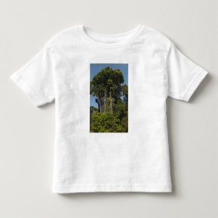 Camiseta De Bebé Bosque lluvioso al borde del río Rewa Guyana