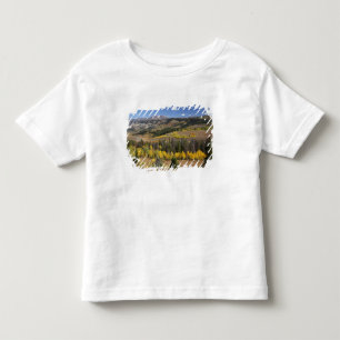 Camiseta De Bebé Bosque Nacional Bridger-Teton