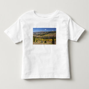 Camiseta De Bebé Bosque Nacional Bridger-Teton