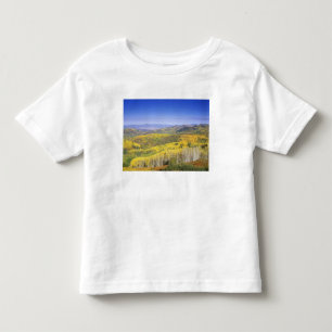 Camiseta De Bebé Bosque nacional rutinario en color otoño, cerca
