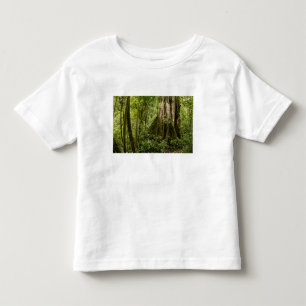 Camiseta De Bebé Bosque nuboso, Bosque de Paz, Costa Rica