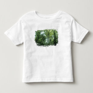 Camiseta De Bebé Bosque Nuboso de Monteverde, Costa Rica.