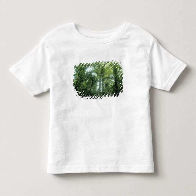 Camiseta De Bebé Bosque Nuboso Monteverde, Costa Rica. (Anverso)