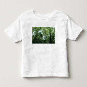 Camiseta De Bebé Bosque Nuboso Monteverde, Costa Rica.