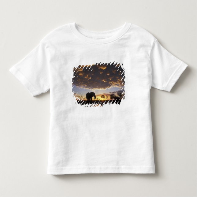 Camiseta De Bebé Botsuana, Parque Nacional Chobe, elefante (Anverso)