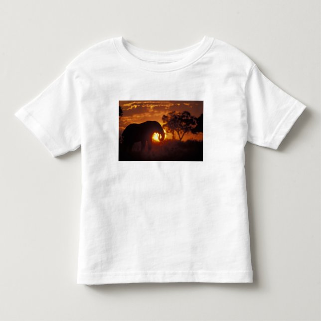 Camiseta De Bebé Botsuana, Parque Nacional Chobe, Elefante macho (Anverso)