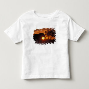 Camiseta De Bebé Botswana, Parque Nacional Chobe, Elefante macho