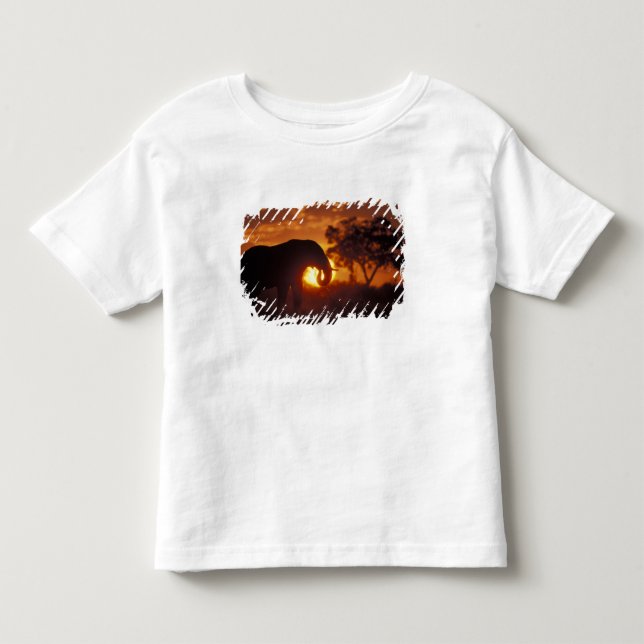 Camiseta De Bebé Botswana, Parque Nacional Chobe, Elefante macho (Anverso)